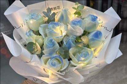 ��ݸ�򽭻���