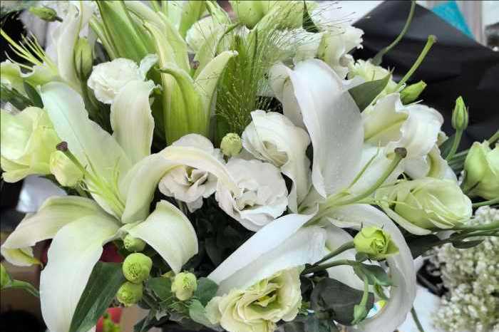��ݸ�򽭻���