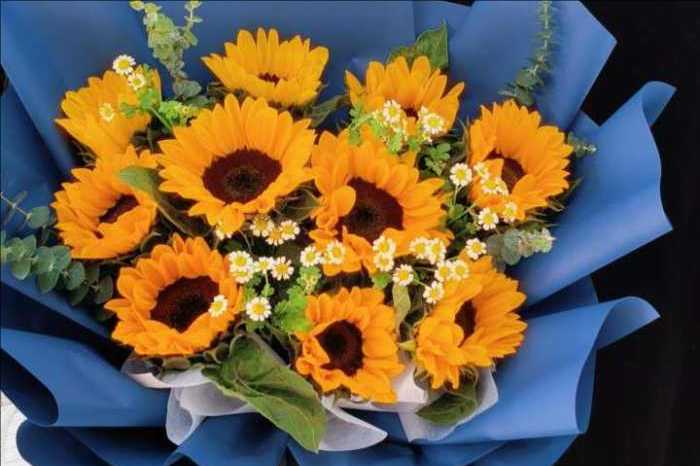 ��ݸ�򽭻���