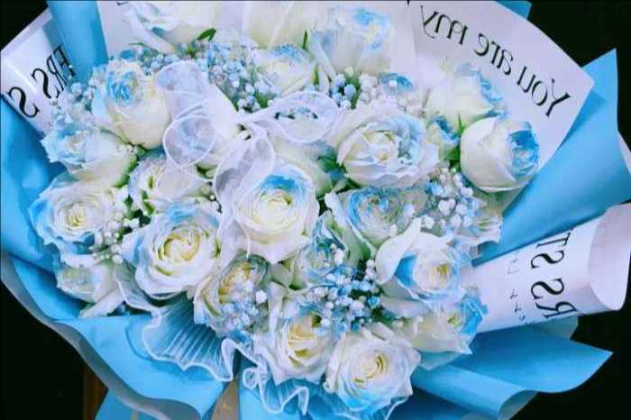 ��ݸ�򽭻���