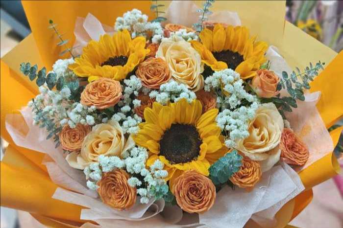 ��ݸ�򽭻���
